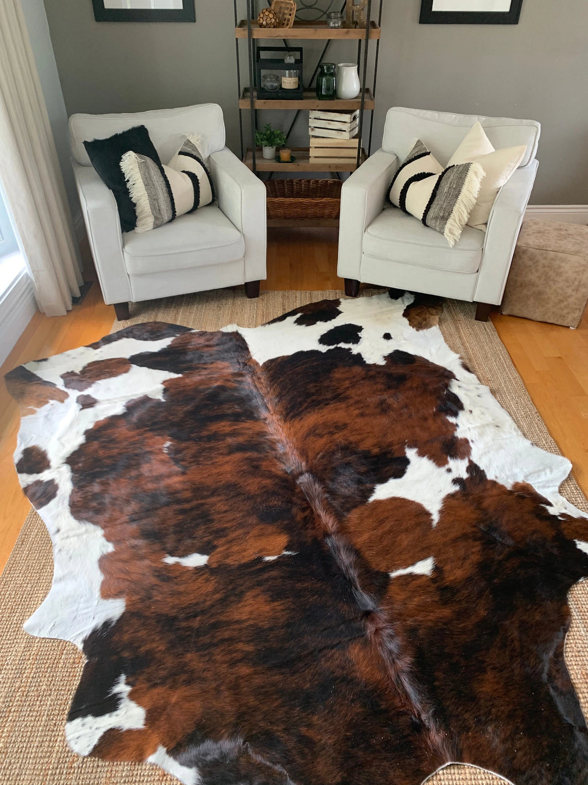 Brown and white cowhide rug in modern living room with armchairs, natural leather texture