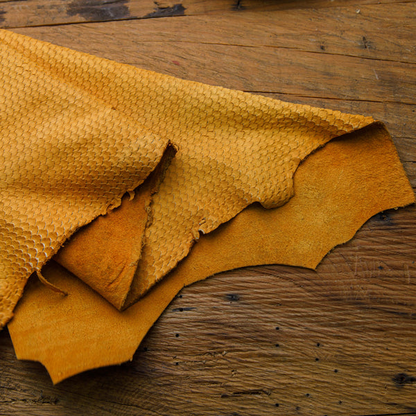 mustard fish cut leather