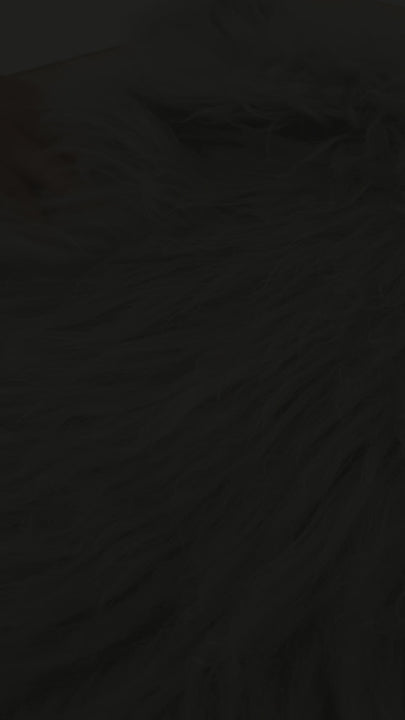 rugs skin