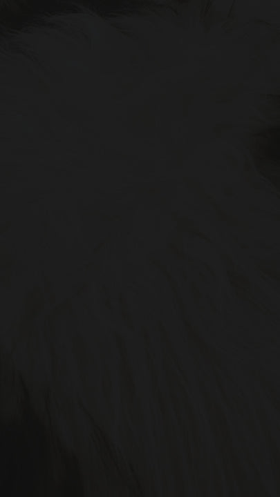 rugs skin
