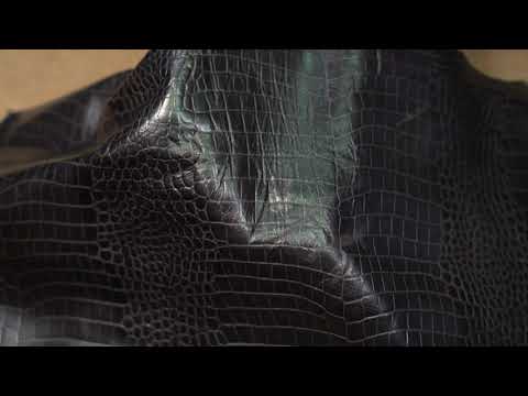 black crocodile embossed leather